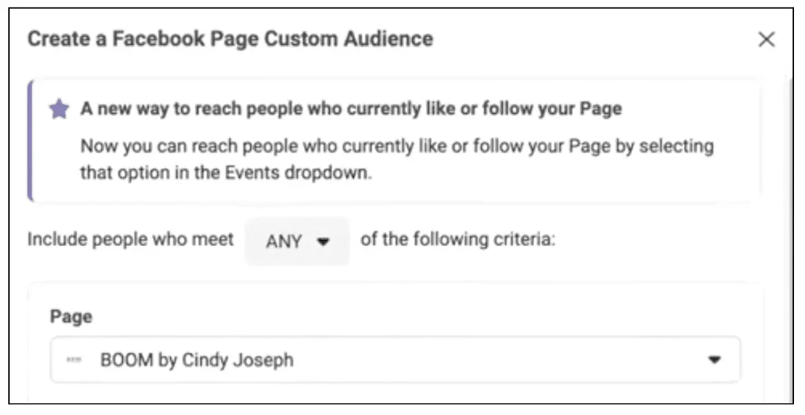 Selecting a Facebook Fan Page to create a custom audience for in Facebook Ads Manager.