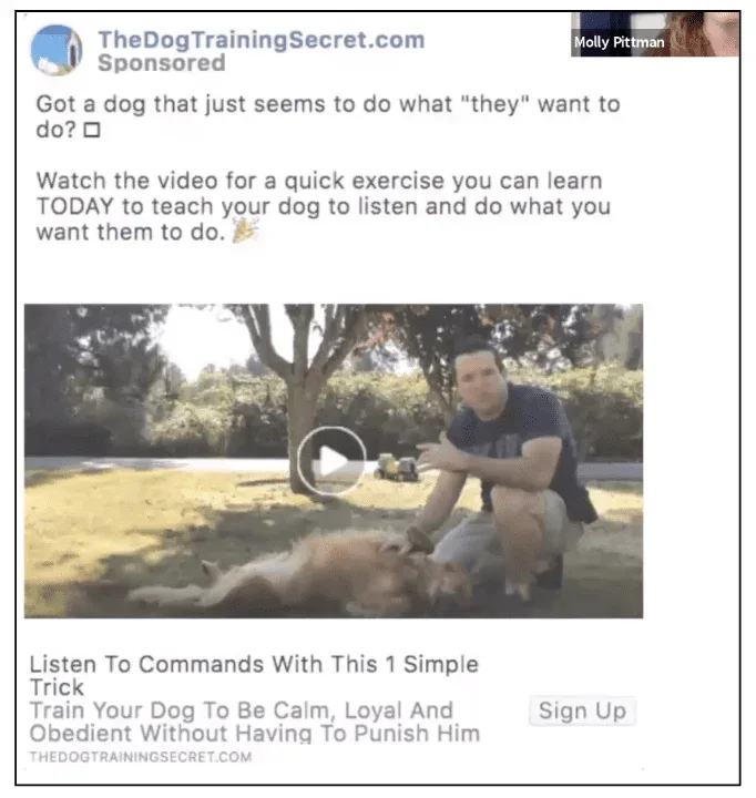 Example of the "Problem / Solution" hook from TheDogTrainingSecret.com.